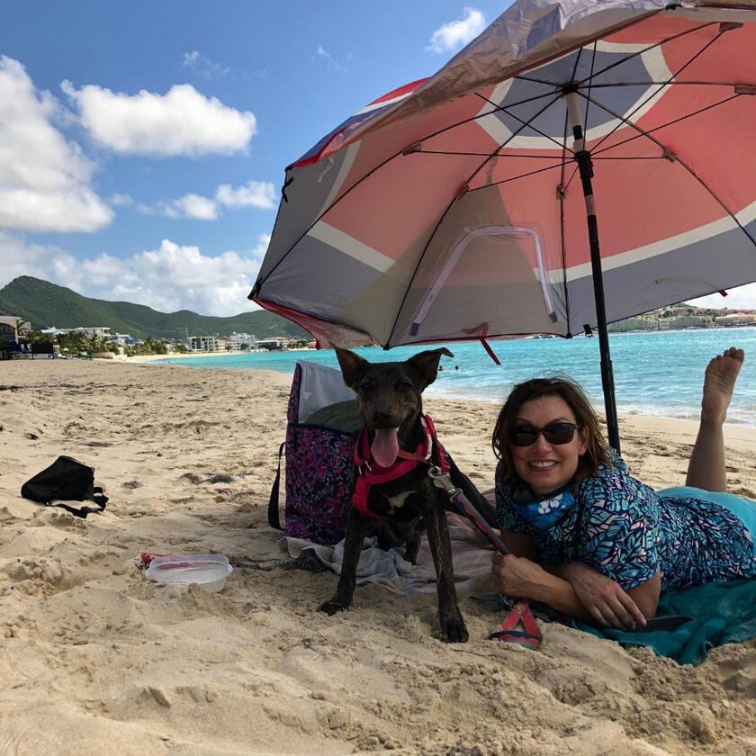 A happy Pampered Pets guest